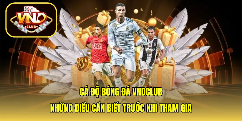 Cá độ bóng đá VNDCLUB: Những điều cần biết trước khi tham gia