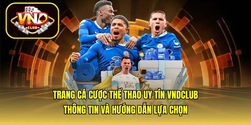 Trang cá cược thể thao uy tín VNDCLUB – Thông tin và hướng dẫn lựa chọn