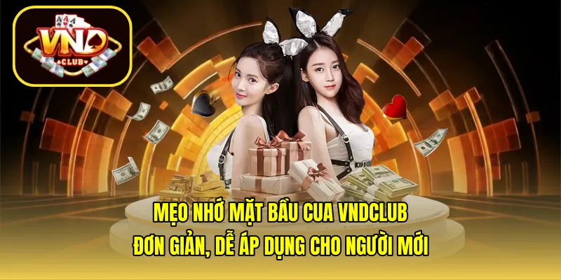 Mẹo nhớ mặt bầu cua VNDCLUB đơn giản, dễ áp dụng cho người mới
