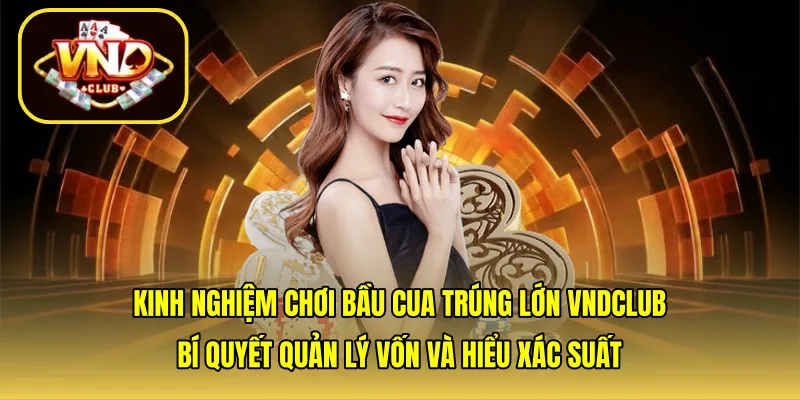 Kinh nghiệm chơi bầu cua trúng lớn VNDCLUB: Bí quyết quản lý vốn và hiểu xác suất
